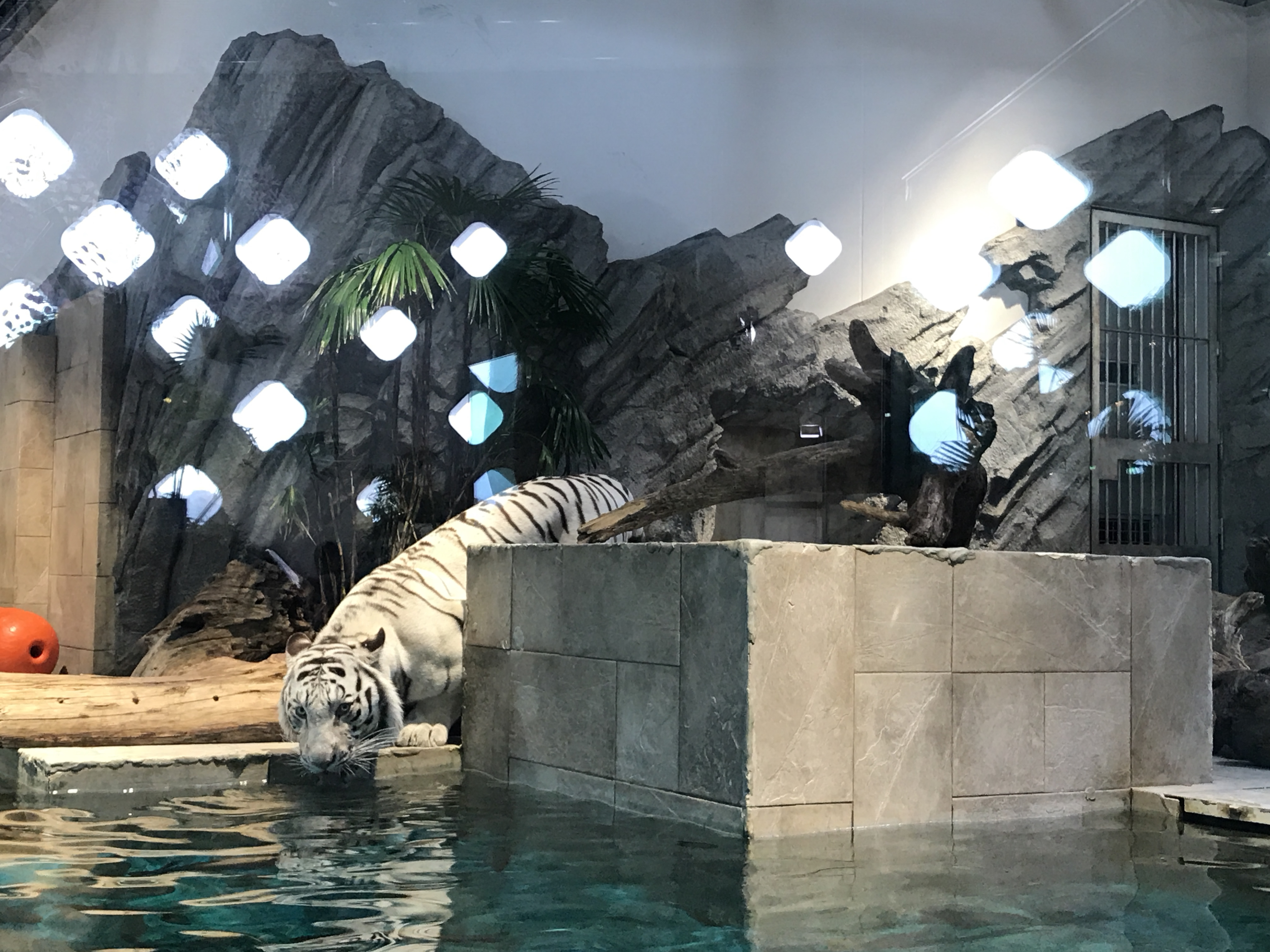 ニフレル Nifrel 大阪 吹田市 水族館 動物園 おすすめ情報や混雑状況 おすすめパン スイーツ